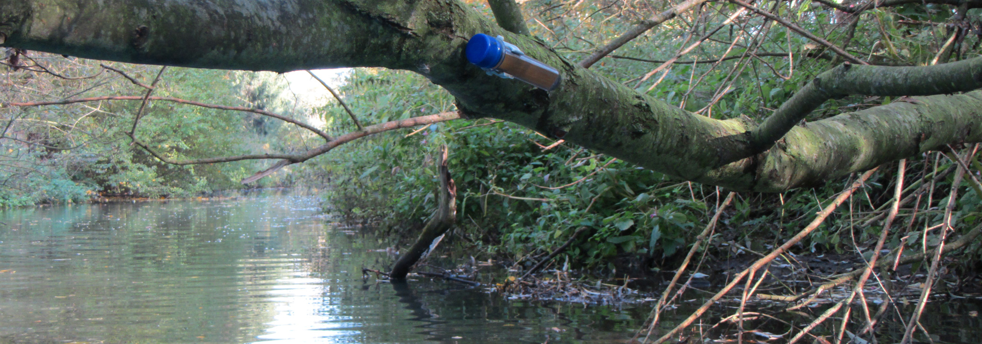 Paddelcache an der Fuhse