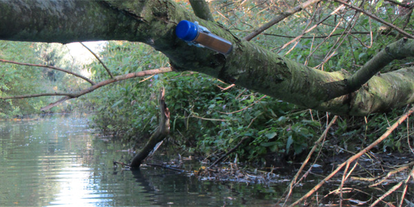 Paddelcache an der Fuhse