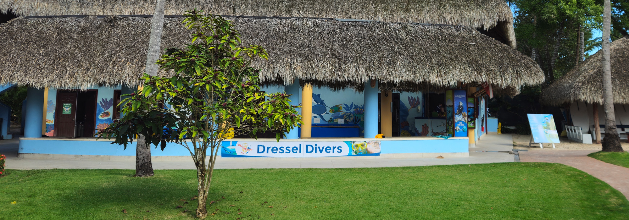 Dressel Divers