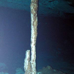 Dos Ojos 2010