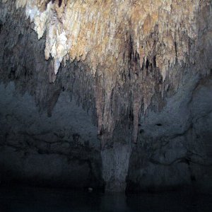 Dos Ojos 2010