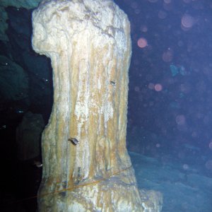 2005