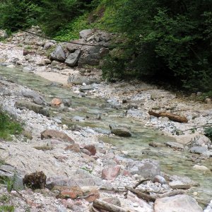 2005 - Almbachklamm