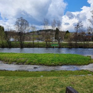 Bayrischer Wald