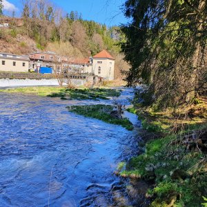 Bayrischer Wald