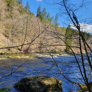 Bayrischer Wald