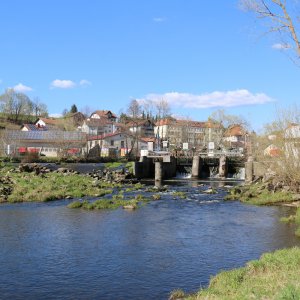 Bayrischer Wald