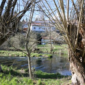 Bayrischer Wald