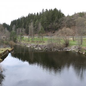 Bayrischer Wald