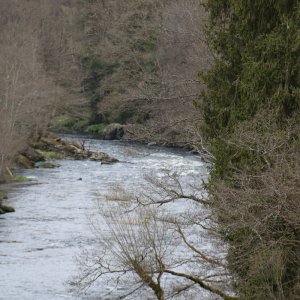 Bayrischer Wald