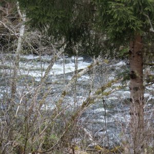 2022 - Bayrischer Wald