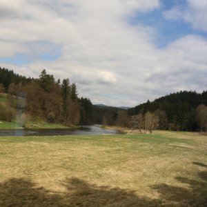 Bayrischer Wald