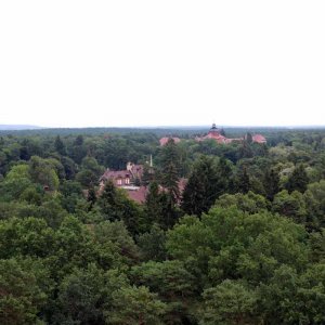 Beelitz Heilstätten - Baumwipfelpfad