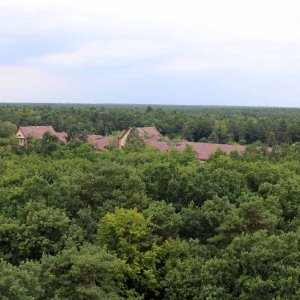 Beelitz Heilstätten - Baumwipfelpfad