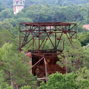 Beelitz Heilstätten - Baumwipfelpfad