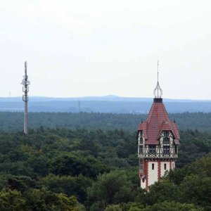 Beelitz Heilstätten - Baumwipfelpfad