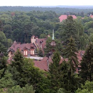 Beelitz Heilstätten - Baumwipfelpfad