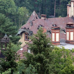 Beelitz Heilstätten - Baumwipfelpfad