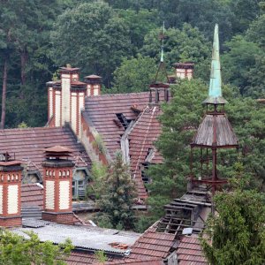 Beelitz Heilstätten - Baumwipfelpfad