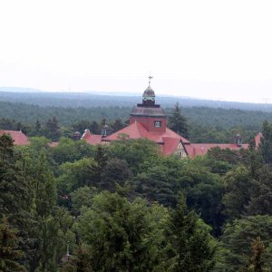 Beelitz Heilstätten - Baumwipfelpfad