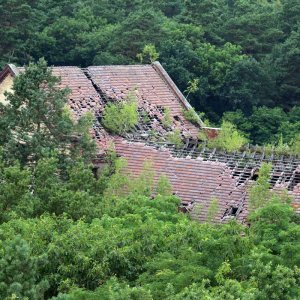 Beelitz Heilstätten - Baumwipfelpfad