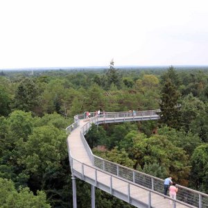 Beelitz Heilstätten - Baumwipfelpfad