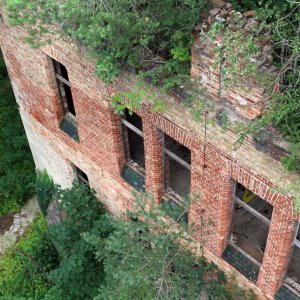 Beelitz Heilstätten - Baumwipfelpfad