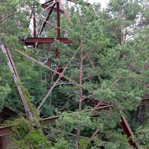 Beelitz Heilstätten - Baumwipfelpfad