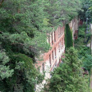 Beelitz Heilstätten - Baumwipfelpfad