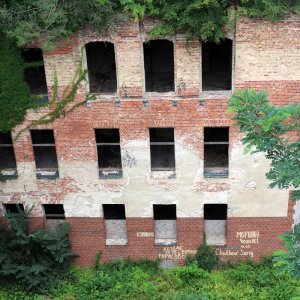 2017 - Beelitz Heilstätten - Baumwipfelpfad