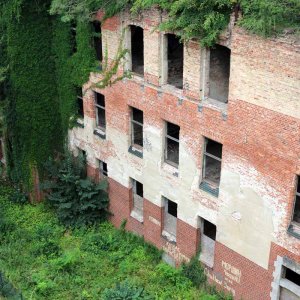 2017 - Beelitz Heilstätten - Baumwipfelpfad