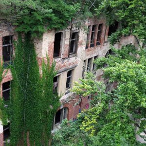 Beelitz Heilstätten - Baumwipfelpfad