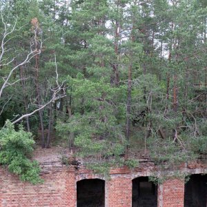 Beelitz Heilstätten - Baumwipfelpfad