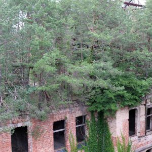 Beelitz Heilstätten - Baumwipfelpfad