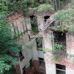 Beelitz Heilstätten - Baumwipfelpfad