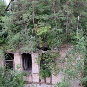 Beelitz Heilstätten - Baumwipfelpfad