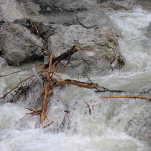 Rosengartenschlucht