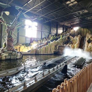 Toverland