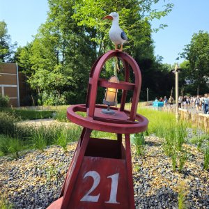 Walibi Belgien