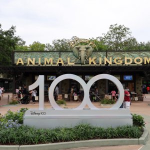 Animal Kingdom