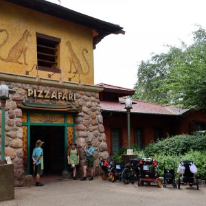 Animal Kingdom