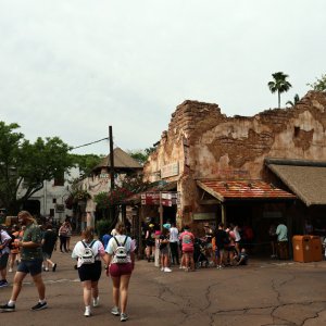 Animal Kingdom