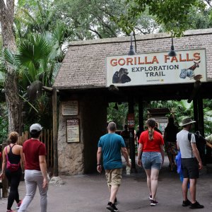 Animal Kingdom