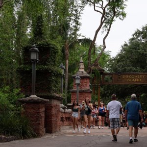 Animal Kingdom