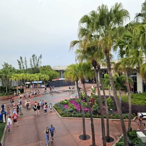 Epcot