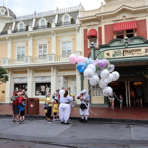 Magic Kingdom