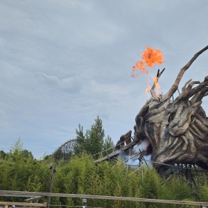 Heidepark (2025)