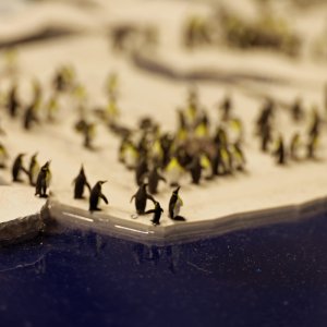 Miniaturwunderland 2025