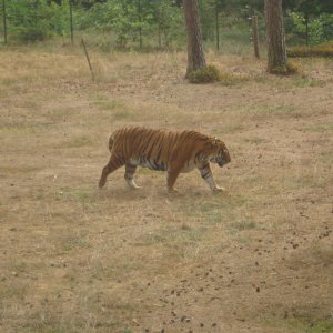 Serengetipark Hodenhagen (2003)