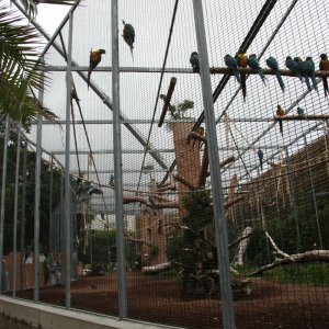 Loro Parque (2008)